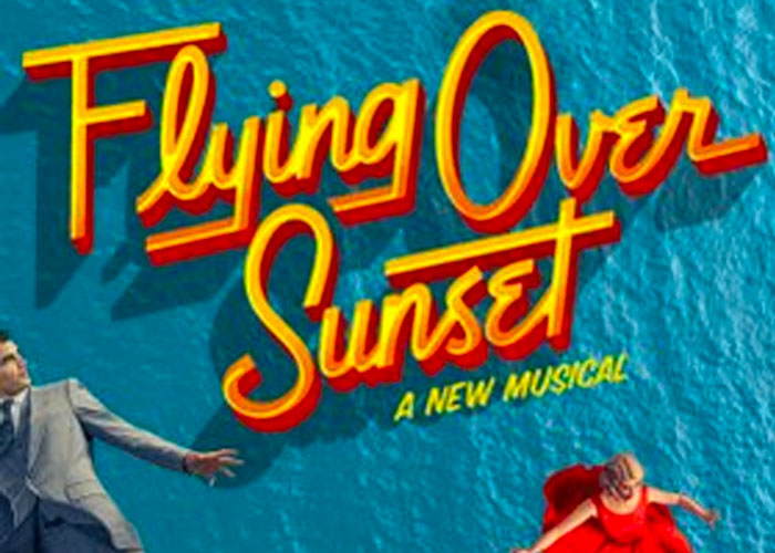 Flying Over Sunset
